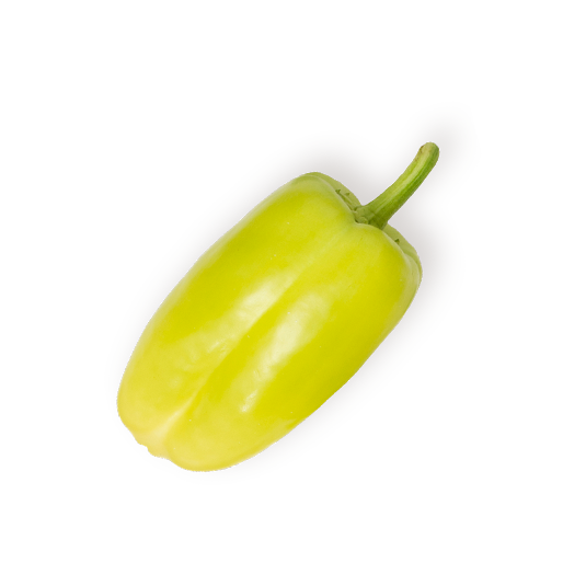 Capcicum